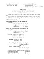 BAO CAO TINH HINH DANG VIEN 