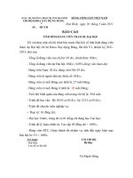 BAO CAO TINH HINH DANG VIEN THAM DU DAI HOI 