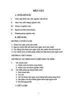 Phân tích tác động của một số biện pháp và chính sách cụ thể mà chính phủ Việt Nam đã thực hiện trong những năm gần đây nhằm bù đắp thâm hụt ngân sách