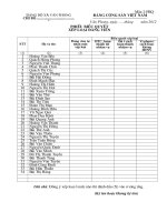 phiếu bieu quyet cau mo 