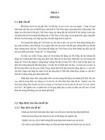 Nghiên cứu tình hình hoạt động kinh doanh của dự án chung cư Vicoland và dự án khu đô thị mới An Cựu, thành phố Huế