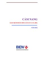 Bộ câu hỏi trả lời chuẩn  qna  hoán đổi lãi suất 2012 FINAL