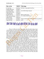 Tiểu luận tính toán thiết kế mô hình biogas cho hộ gia đình