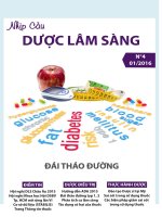 Nhịp Cầu Dược Lâm Sàng – Đái Tháo Đường