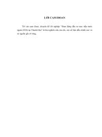 Hoạt động đầu tư trực tiếp nước ngoài (FDI) vào Thanh Hoá