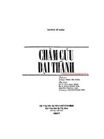 Châm Cứu Đại Thành Quyển 1 Dương Kế Châu