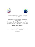 Mesures de performances dune primitive de diffusion atomique dans un cluster 