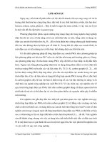 Nghiên cứu cải tiến quá trình tổng hợp điện cực pbo2 trên nền carbon graphit và khảo sát khả năng oxi hóa phenol trên điện cực pbo2
