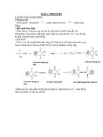Protein   luận văn, đồ án, đề tài tốt nghiệp