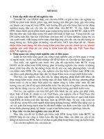 Hoàn thiện kiểm toán hàng tồn kho trong kiểm toán báo cáo tài chính tại các doanh nghiệp sản xuất thép do các công ty kiểm toán độc lập của Việt Nam thực hiện
