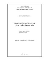 Luận án tiên sĩ Gia đình của người sán dìu vùng chân núi tam đảo (TT)