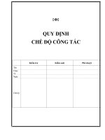 QUY DINH CHE DO CONG TAC PHI