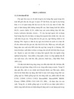 Ảnh hưởng của mật độ gieo trồng đến một số chỉ tiêu sinh lí và năng suất giống ngô lai đơn B06 trồng tại huyện Tân Yên, Tỉnh Bắc Giang