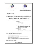 ENTROPIES CONDITIONNELLES ET LEURS APPLICATIONS EN APPRENTISSAGE 