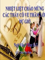 Ngữ Văn 9 tiết 61 Làng Kim Lân thao giảng 20-11-2016