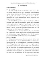 Sáng kiến kinh nghiệm giúp học sinh học tốt phần số thập phân