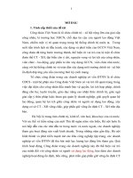 LUẬN văn THẠC sĩ   PHÁT HUY VAI TRÒ của tổ CHỨC CÔNG đoàn TRONG các DOANH NGHIỆP có vốn đầu tư nước NGOÀI TRÊN địa bàn THÀNH PHỐ hà nội góp PHẦN GIỮ VỮNG ổn ĐỊNH CHÍNH TRỊ xã hội