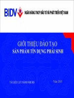 tài liệu đào tạo tín dụng phát sinh