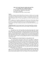 MỘT SỐ VẤN ĐỀ TÍNH TOÁN THIẾT KẾ-THI CÔNG VÀ ỨNG DỤNG TÚI VẢI ĐỊA KỸ THUẬT