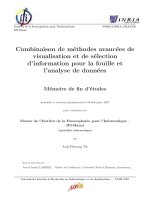 Combinaison de méthodes avancées de visualisation et de sélection d’information pour la fouille et l’analyse de données 