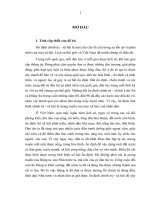 LUẬN văn THẠC sĩ   vấn đề ổn ĐỊNH CHÍNH TRỊ xã hội TRÊN địa bàn TỈNH THÁI BÌNH   THỰC TRẠNG và GIẢI PHÁP
