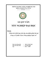 Phân tích chiến lược tiêu thụ sản phẩm phân bón tại Công ty Cổ phần Vật tư Nông nghiệp Nghệ An