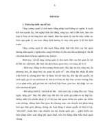 LUẬN văn THẠC sĩ   TĂNG CƯỜNG QUẢN lý NHÀ nước BẰNG PHÁP LUẬT TRONG LĨNH vực hải QUAN ở VIỆT NAM HIỆN NAY