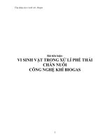 Tiểu luận Vi sinh vật trong xử lí phế thải chăn nuôi công nghệ khí biogas
