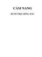 cẩm nang huyết học đông máu, y Hải Dương