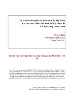 Các Chính Sách Quản Lý Internet Của Việt Nam: Cơ Hội Phát Triển Nền Kinh Tế Kỹ Thuật Số Có Khả Năng Cạnh Tranh