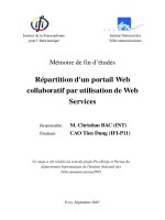 Répartition dun portail web collaboratif par utilisation de web services 