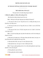 Đề thi giáo viên dạy giỏi trường mầm non Sơn Lâm năm 2016 - 2017