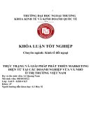 thực trạng và giải pháp phát triển marketing điện tử tại các doanh nghiệp vừa và nhỏ ở thị trường việt nam 