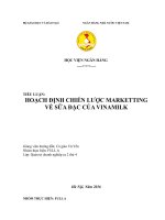 hoạch định chiến lược marketting về sữa đặc của vinamilk 