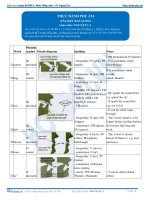 Tài liệu chuyên đề ngữ âm tiếng anh phần 1 (9) 