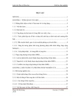 Luận văn nghiên cứu ứng dụng vật liệu nano từ trong chẩn đoán và điều trị khối u thực nghiệm