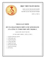 hoạch địch chiến lược kinh doanh của công ty tnhh tmdv siêu thị big c 