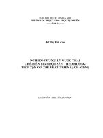 Luận văn nghiên cứu xử lý nước thải chế biến tinh bột sắn theo hướng tiếp cận cơ chế phát triển sạch (CDM) 