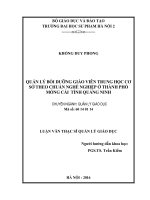 Quản lý bồi dưỡng giáo viên trung học cơ sở theo chuẩn nghề nghiệp ở thành phố móng cái tỉnh quảng ninh (LV02035) 