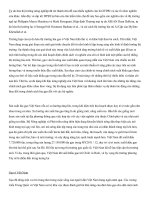 Tình hình thị trường gạo việt nam từ 1995 đến nay