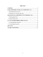 Địa chất, các tai biến địa chất lưu vực sông cầu dự báo và các giải pháp kỹ thuật