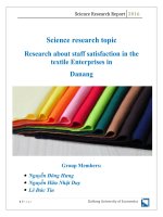 Nghiên cứu về mức độ hài lòng của nhân viên tại các công ty dệt may ở Đà Nẵng (bản tiếng anh)