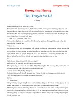 Tiểu Thuyết Vô Đề - Dương thu Hương