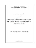 Quản lý đội ngũ tổ trưởng chuyên môn các trường tiểu học quận hai bà trưng, thành phố hà nội 