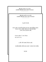 Luận văn phân lập vi khuẩn khử sulphate (SRB) để ứng dụng trong xử lý nước thảy axit từ hoạt động khai thác khoáng sản 