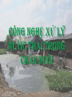 Thuyết trình công nghệ xử lý nước thải trong chăn nuôi