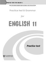 Bài tập trắc nghiệm Tiếng Anh 11