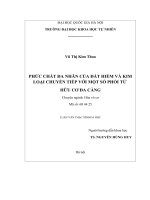Luận văn phức chất đa nhân của đất hiếm và kim loại chuyển tiếp với một số phối tử hữu cơ đa càng 