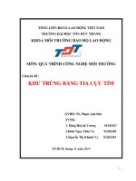 Tiểu luận Quá trình công nghệ môi trường Khử trùng bằng tia cực tím