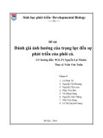 Đánh giá ảnh hưởng của trọng lực đến sự phát triển của phôi cá